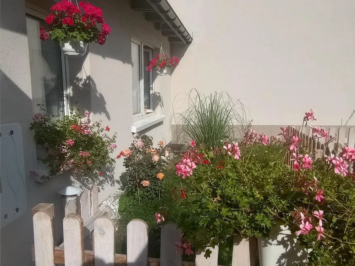 Klimatyczne Mieszkanie W Nowym Porcie Apartment Gdansk